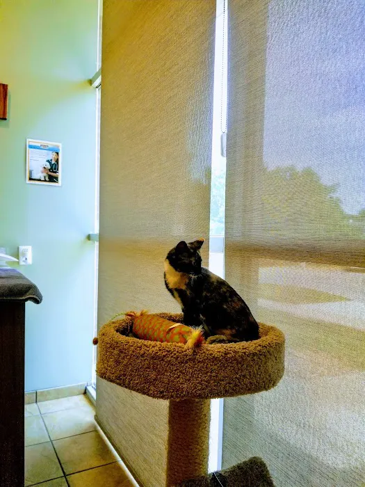 Elm Point Animal Hospital 12