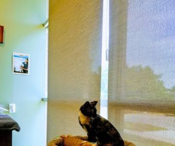 Elm Point Animal Hospital