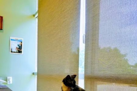 Elm Point Animal Hospital