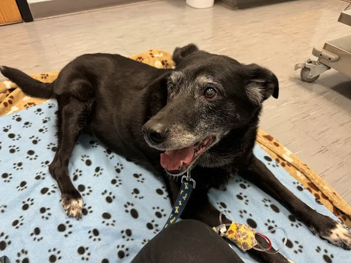 Elm Point Animal Hospital 12