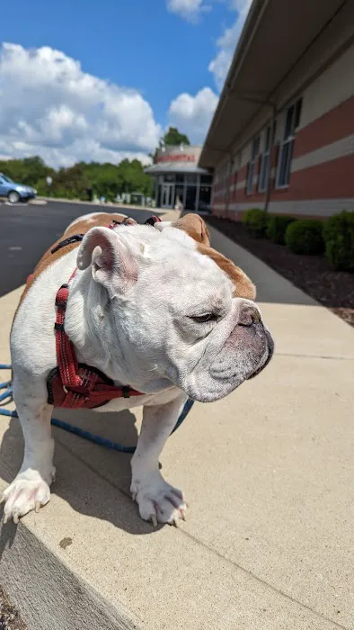 Elm Point Animal Hospital 12