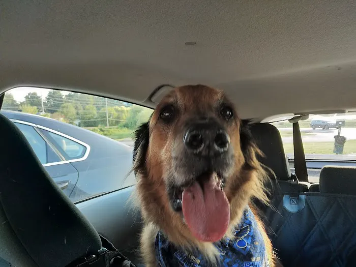 Elm Point Animal Hospital 12
