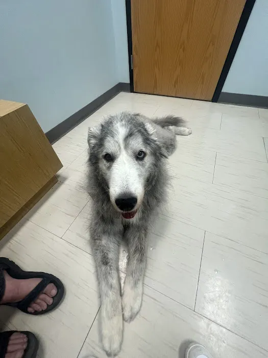 Elm Point Animal Hospital 12