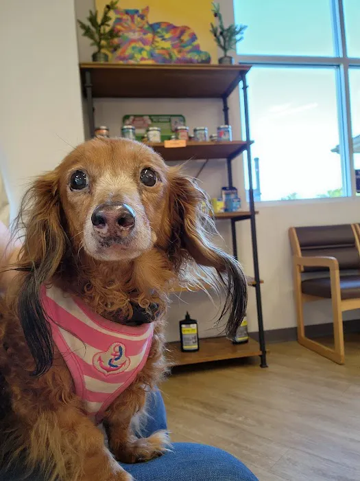 Elm Point Animal Hospital 12