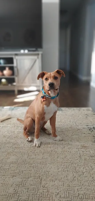 Elm Point Animal Hospital 12