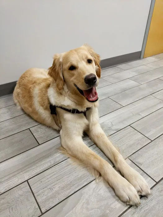 Kingsbury Animal Hospital 12