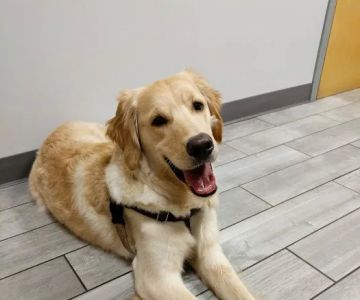 Kingsbury Animal Hospital