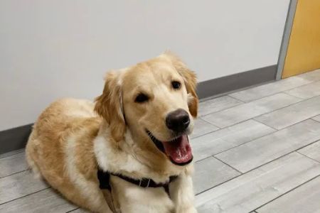 Kingsbury Animal Hospital