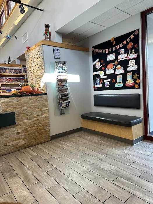 Kingsbury Animal Hospital 12