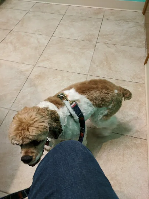 Gateway City Animal Clinic 12