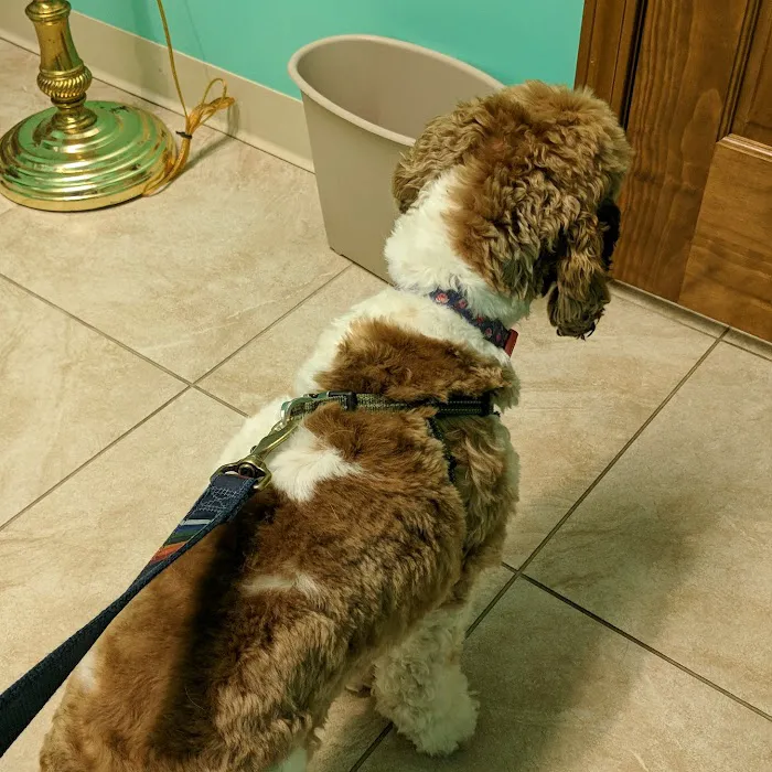 Gateway City Animal Clinic 12