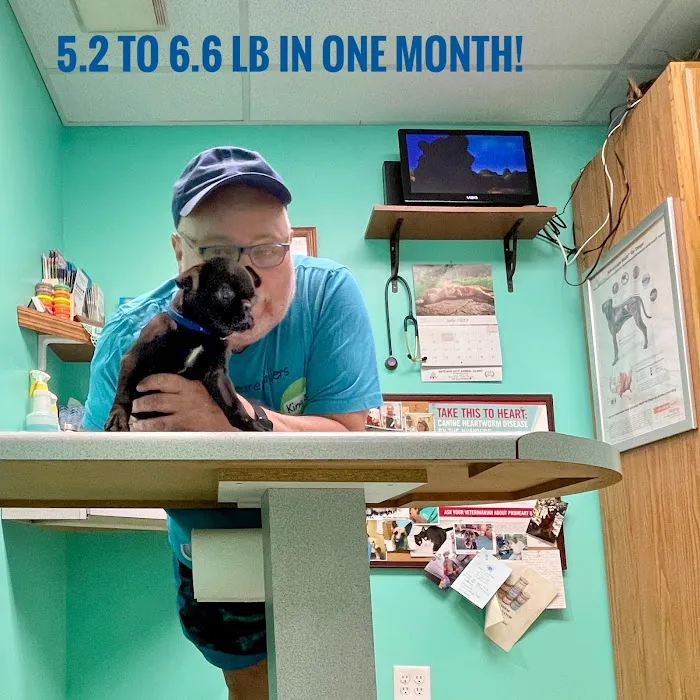 Gateway City Animal Clinic 12