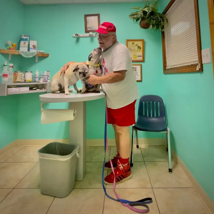 Gateway City Animal Clinic 12