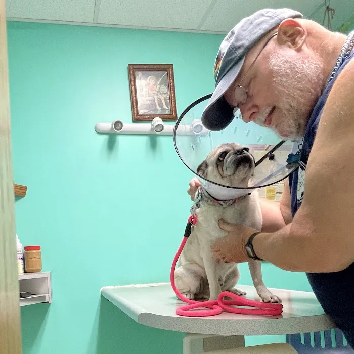 Gateway City Animal Clinic 12