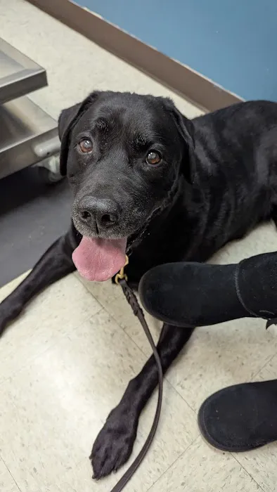 Pawpatch Animal Hospital 12
