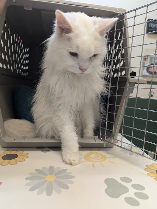 Pawpatch Animal Hospital 12