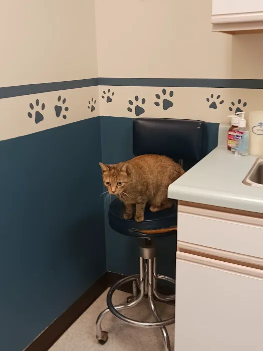 Pawpatch Animal Hospital 12