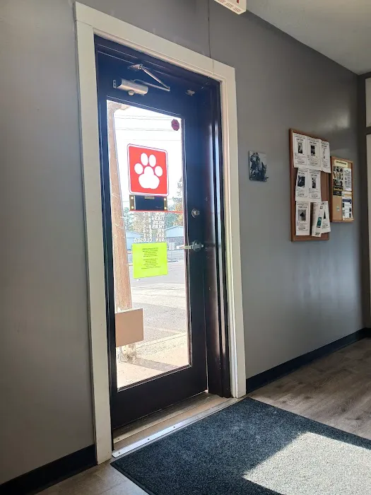 Pawpatch Animal Hospital 12