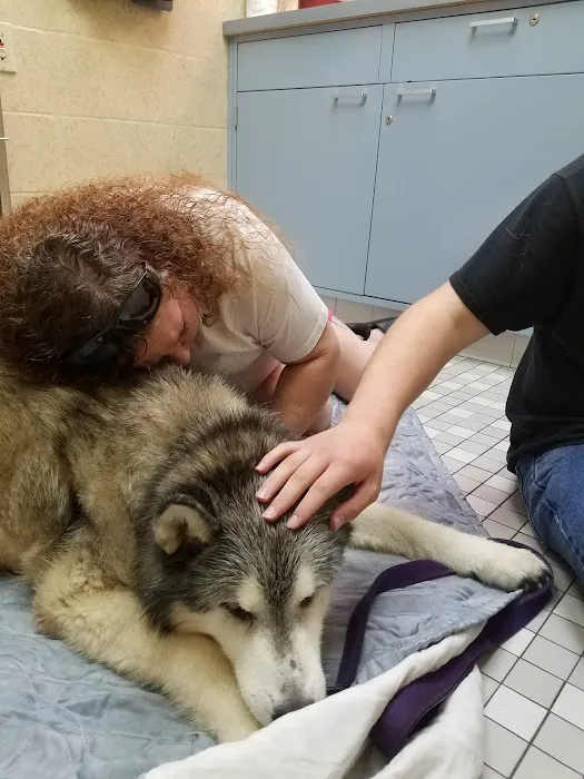 Florissant Animal Hospital 12