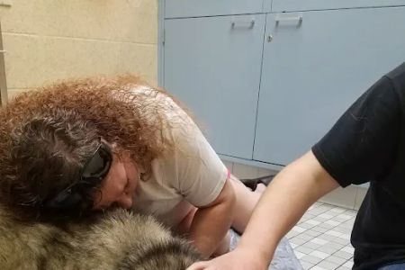 Florissant Animal Hospital