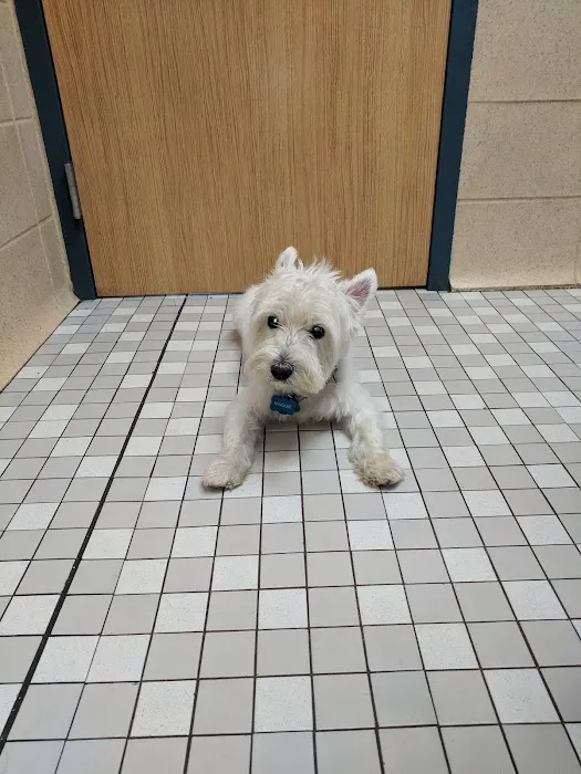 Florissant Animal Hospital 12
