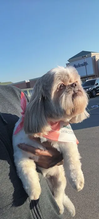 Banfield Pet Hospital 12