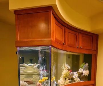 Aquarium Concepts