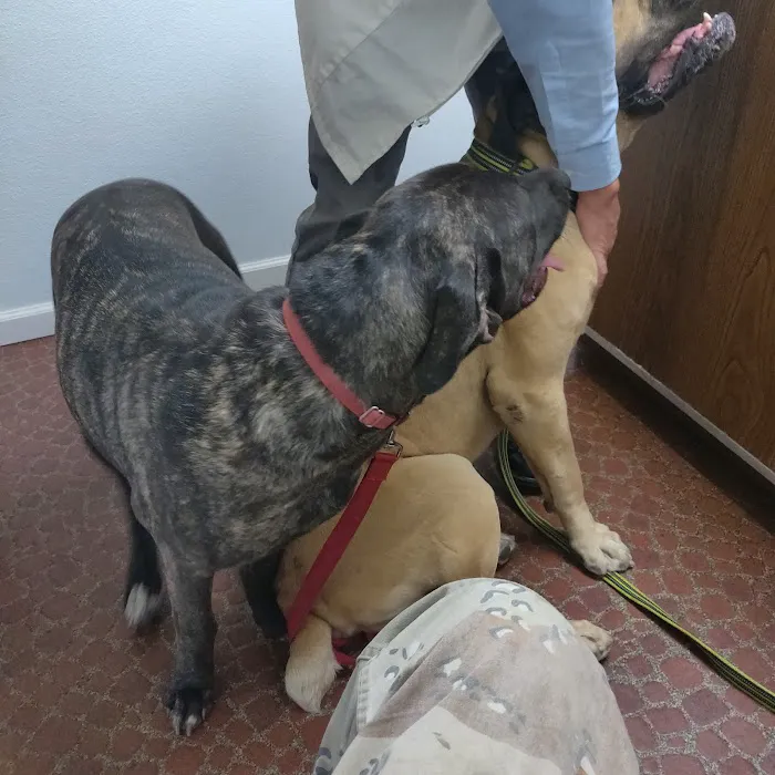 Cross Keys Animal Clinic 12