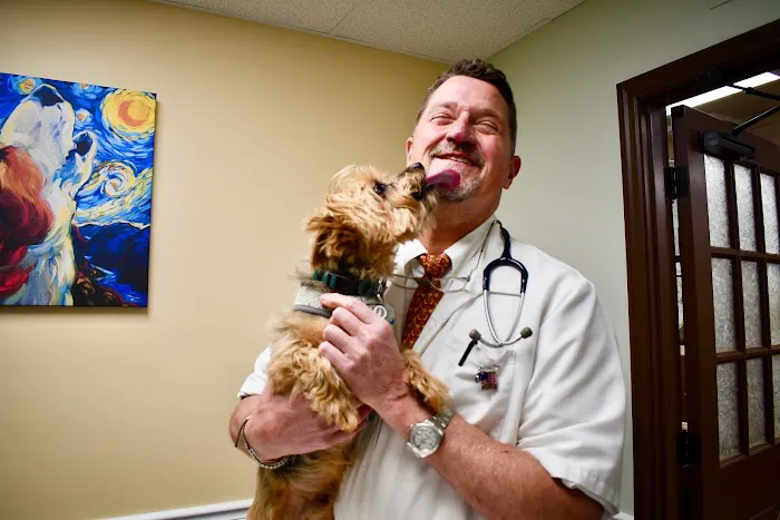 Cross Keys Animal Clinic 12