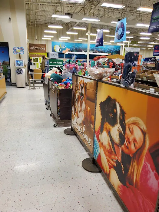 Petco 1