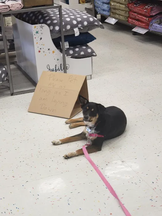 Petco 7