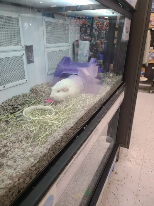 Petco 6