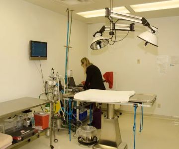 Hillside Animal Hospital