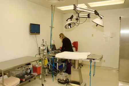 Hillside Animal Hospital