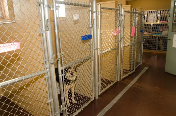 Hillside Animal Hospital 12