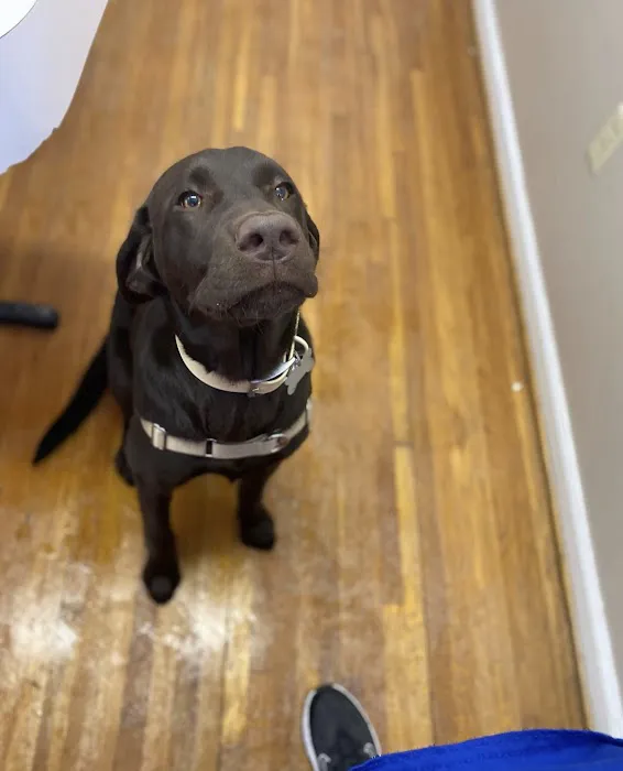 Hampton Animal Hospital 12