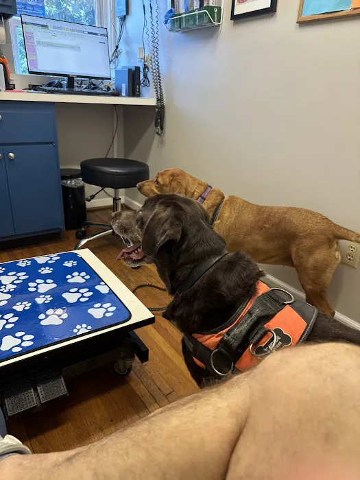 Hampton Animal Hospital 12