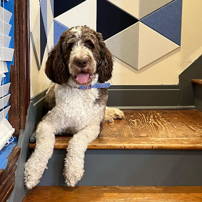 Hampton Animal Hospital 12