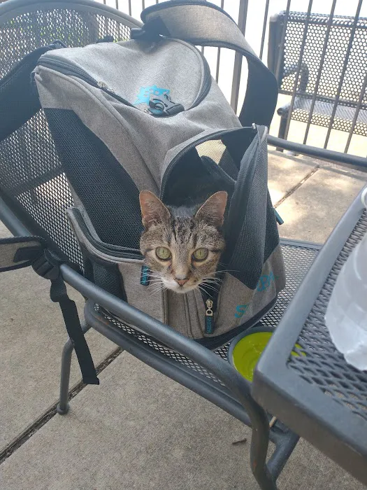 City Cat Clinic Inc 12