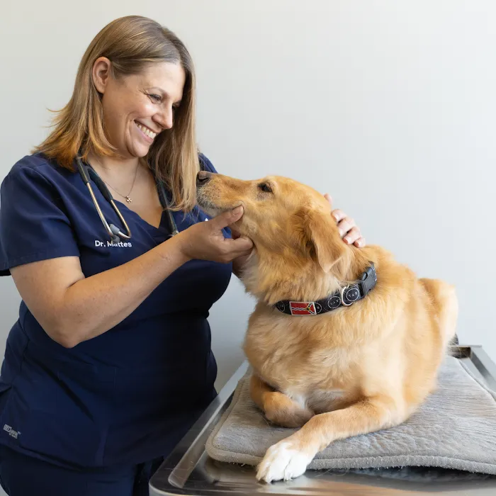 City Paws Veterinary Clinic 12