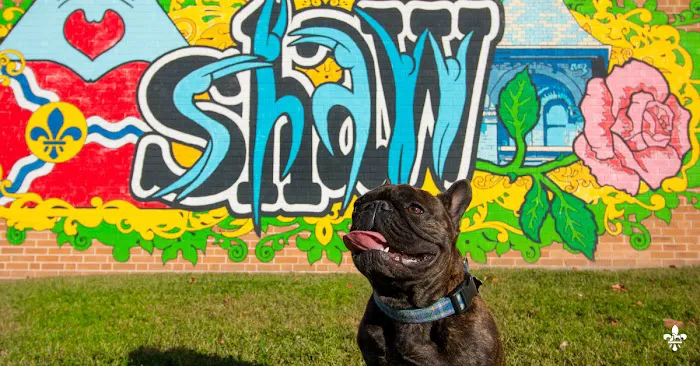 City Paws Veterinary Clinic 12