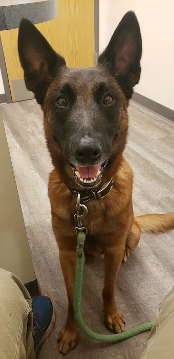 O'Fallon Veterinary Medical Center 6