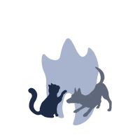 Veterinary Dental Specialists of Missouri ico