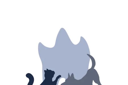 Veterinary Dental Specialists of Missouri