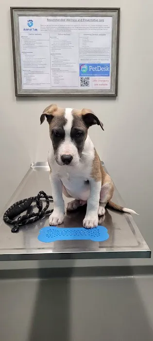 Animal Talk Medical Center 12