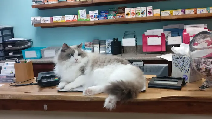 Animal Talk Medical Center 12