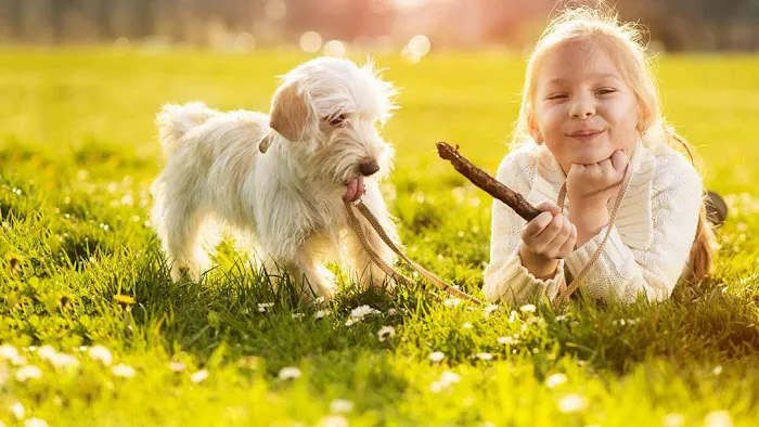 Animal Talk Medical Center 12
