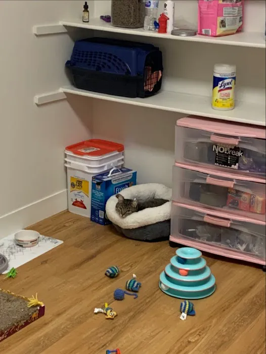 Petco 1