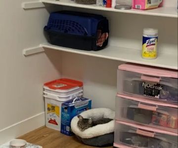 Petco