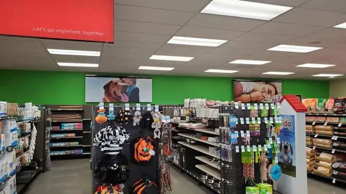 Petco 9